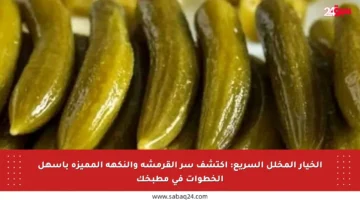 الخيار المخلل السريع: اكتشف سر القرمشة والنكهة المميزة بأسهل الخطوات في مطبخك